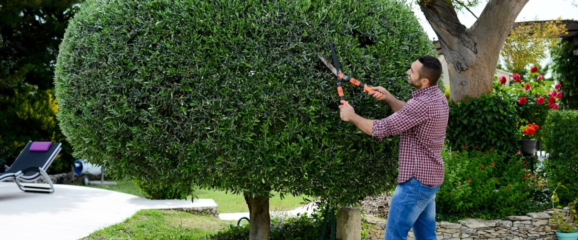 Enhance Curb Appeal with Professional Tree Trimming in Damascus