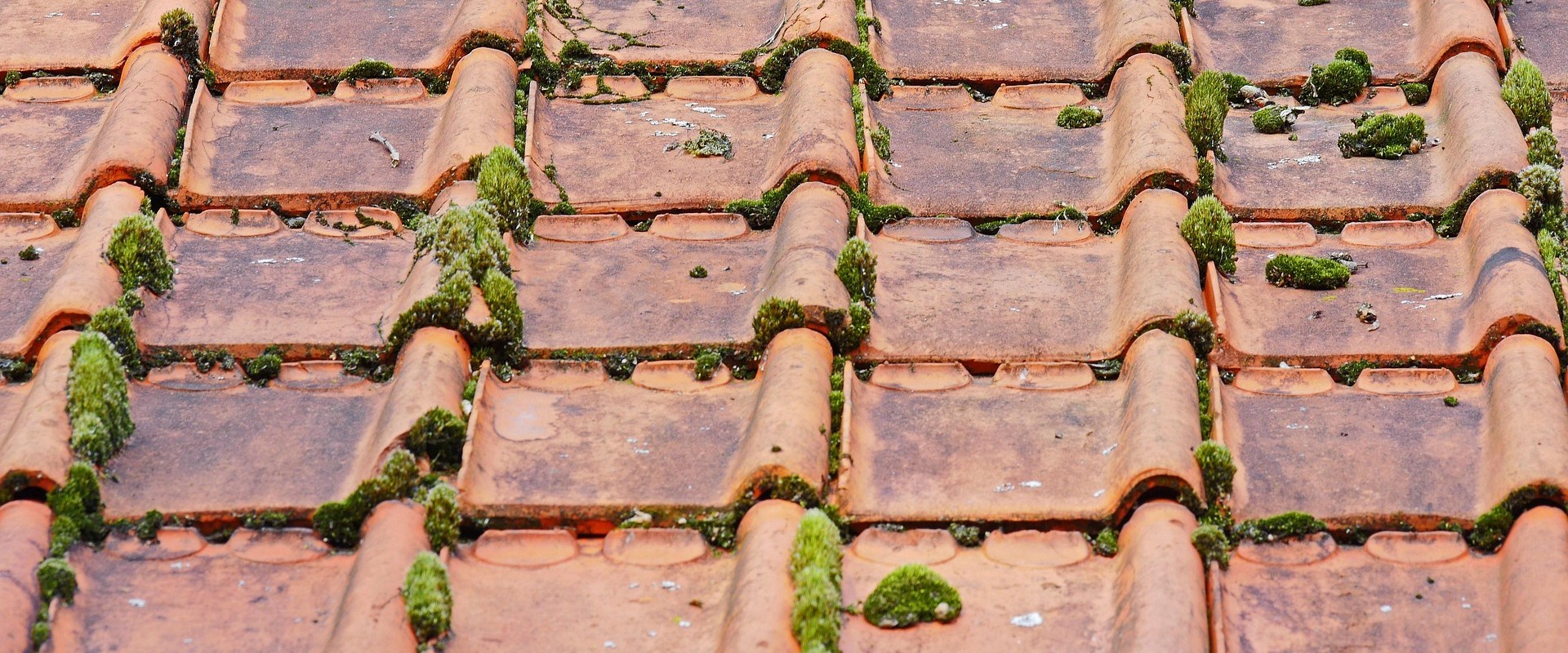 Enhance Property Value with Quality Roofing Services